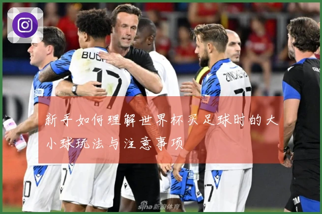 新手如何理解世界杯买足球时的大小球玩法与注意事项