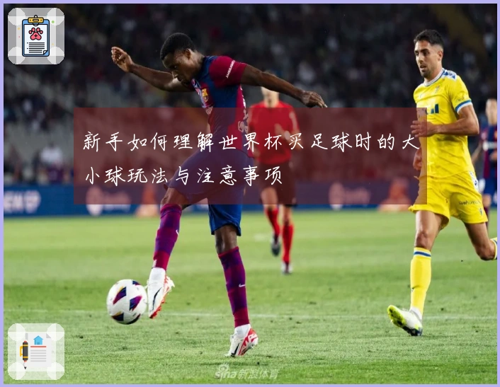 新手如何理解世界杯买足球时的大小球玩法与注意事项